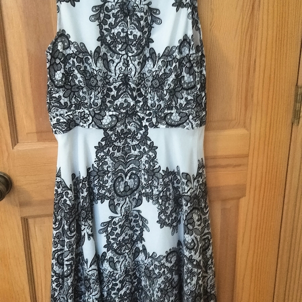Express Monochrome Lace Midi Dress